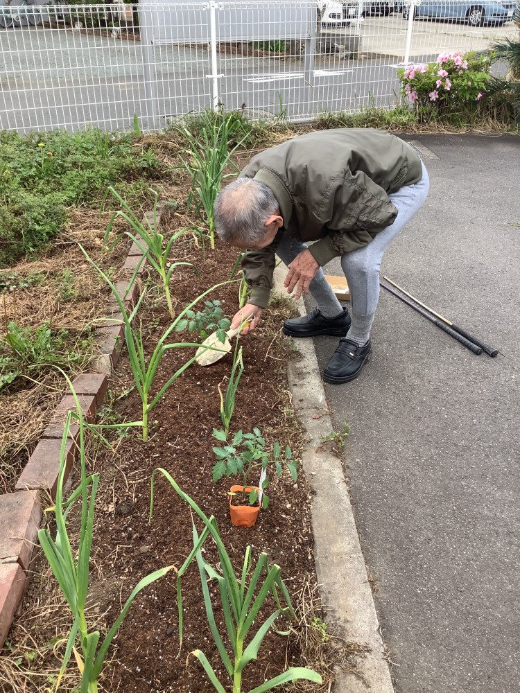 夏野菜を植えました。